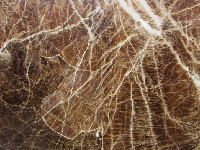ONYX FLORA BROWN onyx