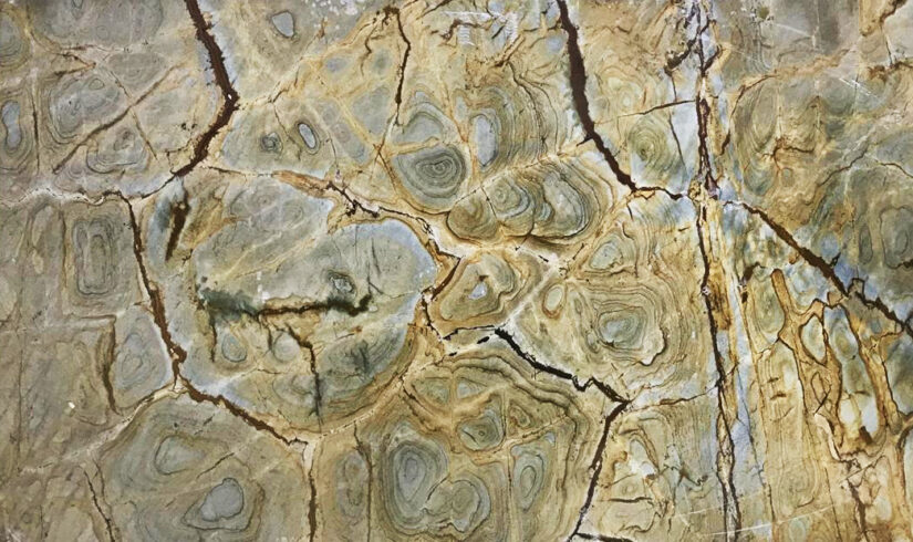 SPINELLA ANTIQUE