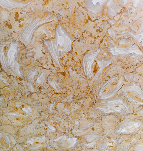 GOLDEN REEF FOSSIL marble