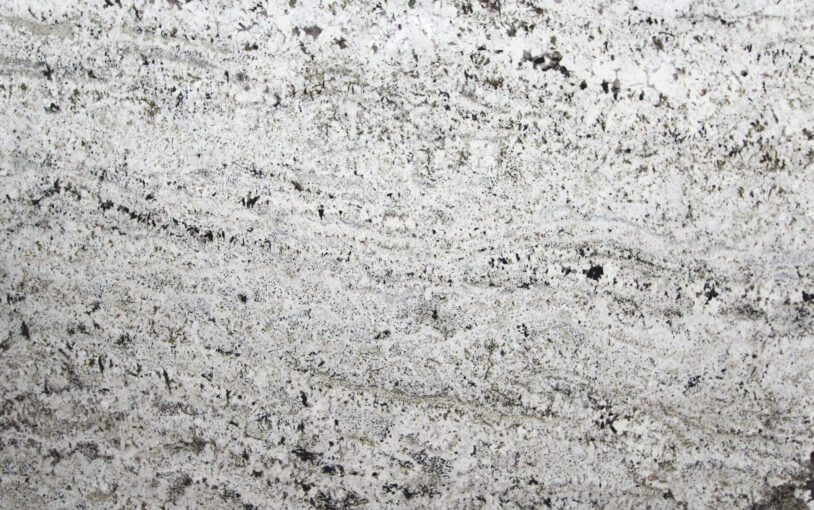 PACIFIC WHITE